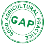 Good Agricultural Practices (GAP)