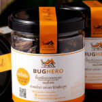 HOW TO EAT FRIED CRICKETS