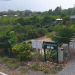 “การปฏิบัติทางการเกษตรที่ดี” (Good Agricultural Practices: GAP)