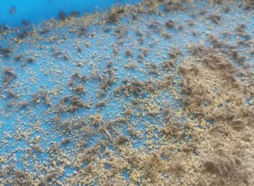 LINE_ALBUM_2563_12_19_230117_15