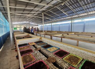 LINE_ALBUM_2563_12_19_230117_24